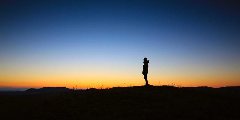 从田间到世界餐桌：林鸿米业海外拓展策略与中国优质大米国际信赖构建之道