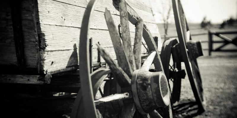 从田间到餐桌的数据洞察：林鸿米业如何用大数据打造优质大米与绿色农产品销售新范式