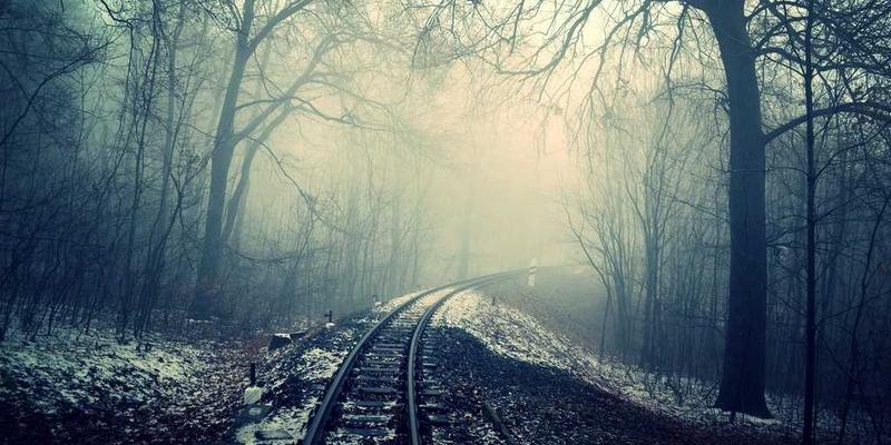 林鸿米业29：匠心守护每一粒绿色优质大米的自然本味