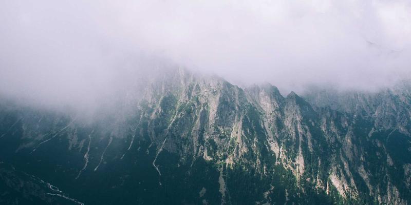 林鸿米业39：深耕绿色农产品销售，守护舌尖上的健康与安心