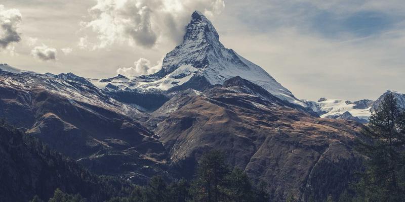 林鸿米业44：深耕绿色农产品，打造从田间到餐桌的信任链条