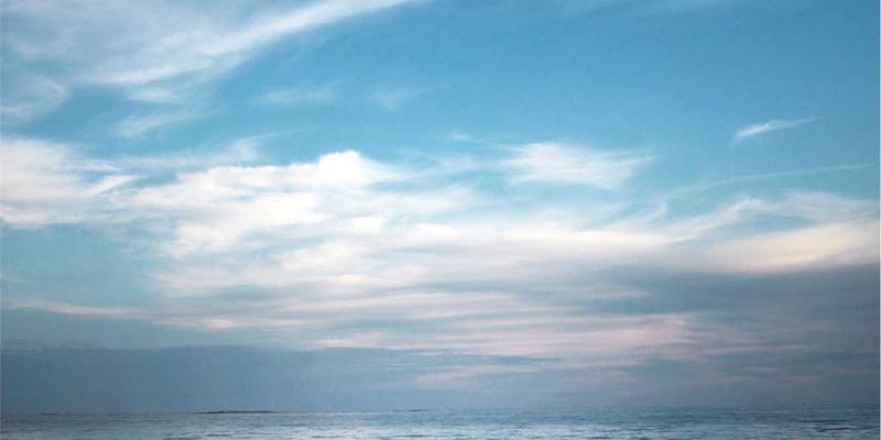 林鸿米业81：匠心传承与科技融合，铸就优质大米加工新标杆