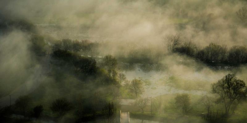 林鸿米业9：匠心守护餐桌健康，绿色农产品与优质大米的品质革命