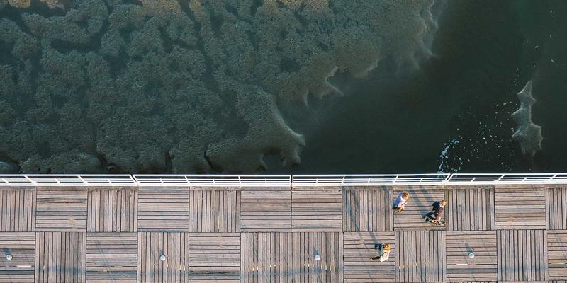 林鸿米业B2B合作案例：如何为大型企业食堂与高校提供稳定优质的农产品销售与营养配餐方案
