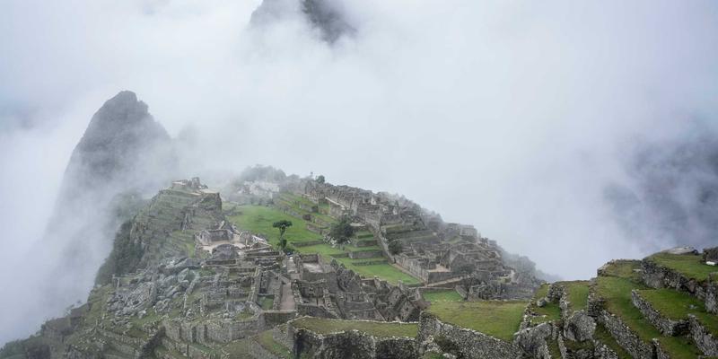 林鸿米业与普通大米深度解析：从营养成分到口感体验的全面对比