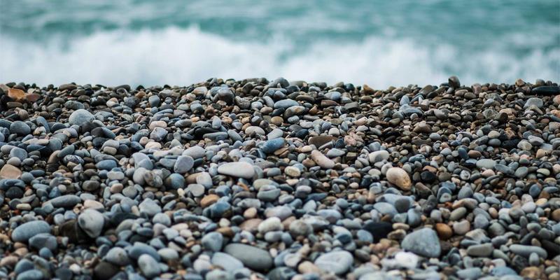 林鸿米业：以优质大米为引擎，探索产业融合带动农户增收的乡村振兴实践