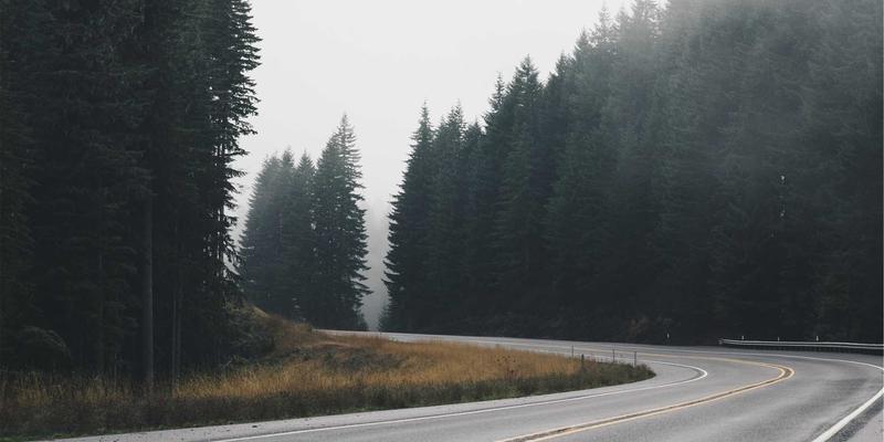 林鸿米业：以优质大米为纽带，打造企业+合作社+农户的乡村振兴联合体