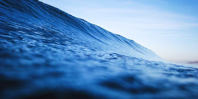 林鸿米业供应链金融实践：破解农业产业链资金困局，赋能优质大米与绿色农产品销售