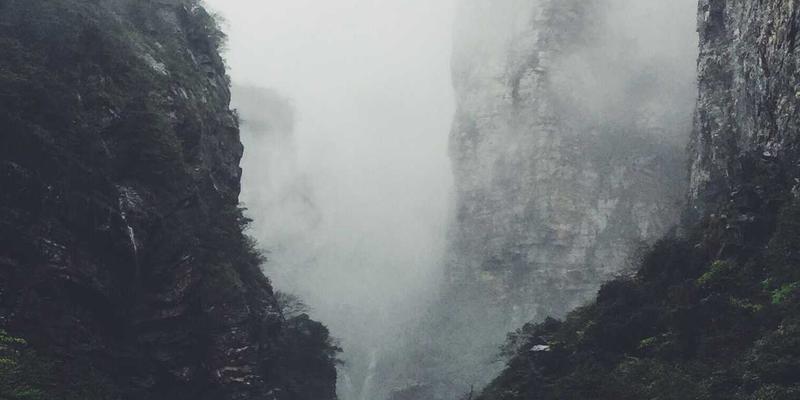 林鸿米业农产品溯源系统建设：科技赋能，让每一粒优质大米都值得信赖