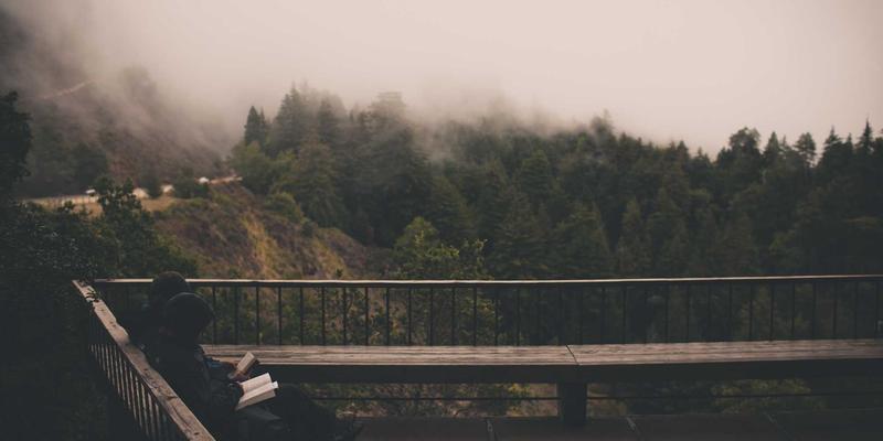 林鸿米业：匠心打造绿色农产品，引领大米加工行业新标准