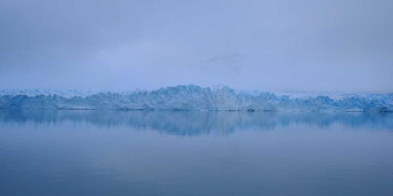 林鸿米业如何应对气候变化挑战：适应性农业实践与大米加工创新