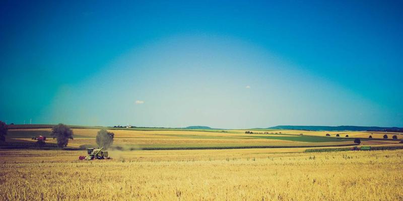 林鸿米业攻略：从优质大米加工到绿色农产品销售的完整产业链解析