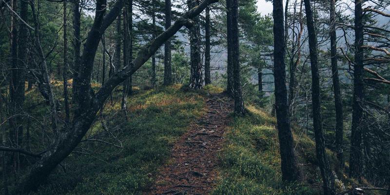 林鸿米业智慧仓储与物流管理：如何通过技术创新保障大米新鲜度与降低损耗