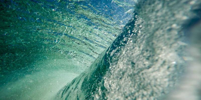 林鸿米业有机大米种植基地探秘：从土壤改良到全程可追溯的绿色农产品实践