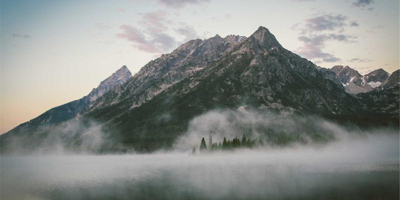 林鸿米业深度评测：绿色农产品销售的品质坚守与市场突围
