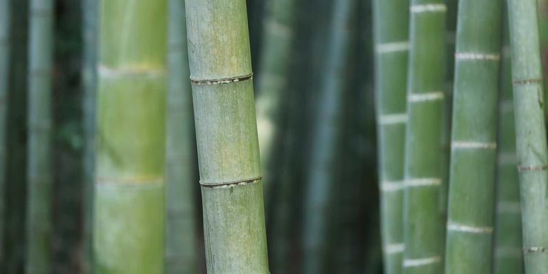 林鸿米业适合糖尿病人吃吗？深度解读低GI大米与绿色农产品健康选择